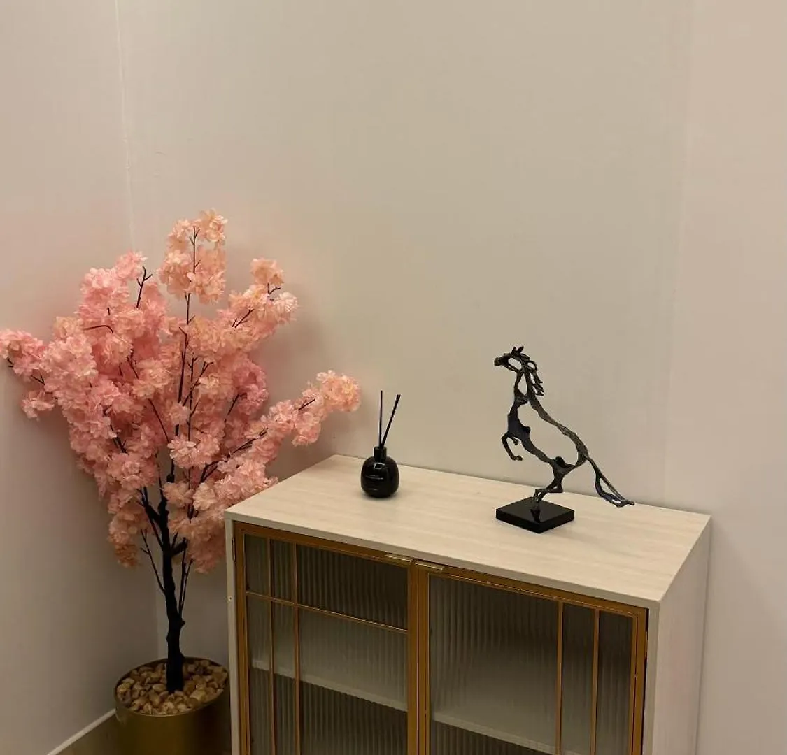 استوديو انيق ومرتب Apartment Riyadh 0*,  Saudi Arabia
